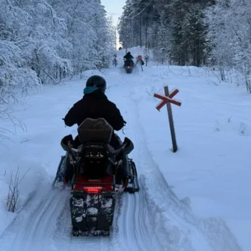 Arctic Bushcraft in the Northern Forest with Ray Mears