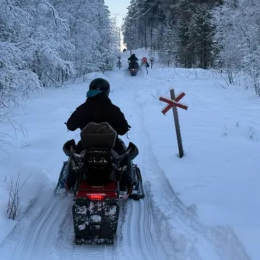 Arctic Bushcraft in the Northern Forest with Ray Mears